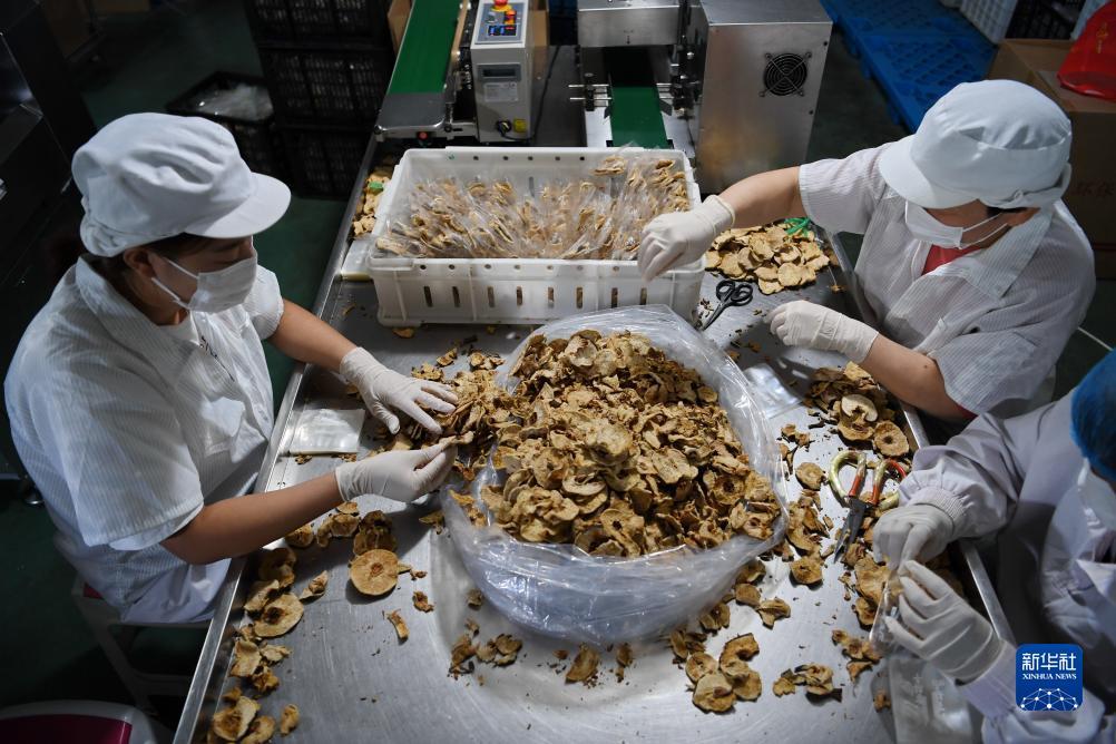 ag试玩网址